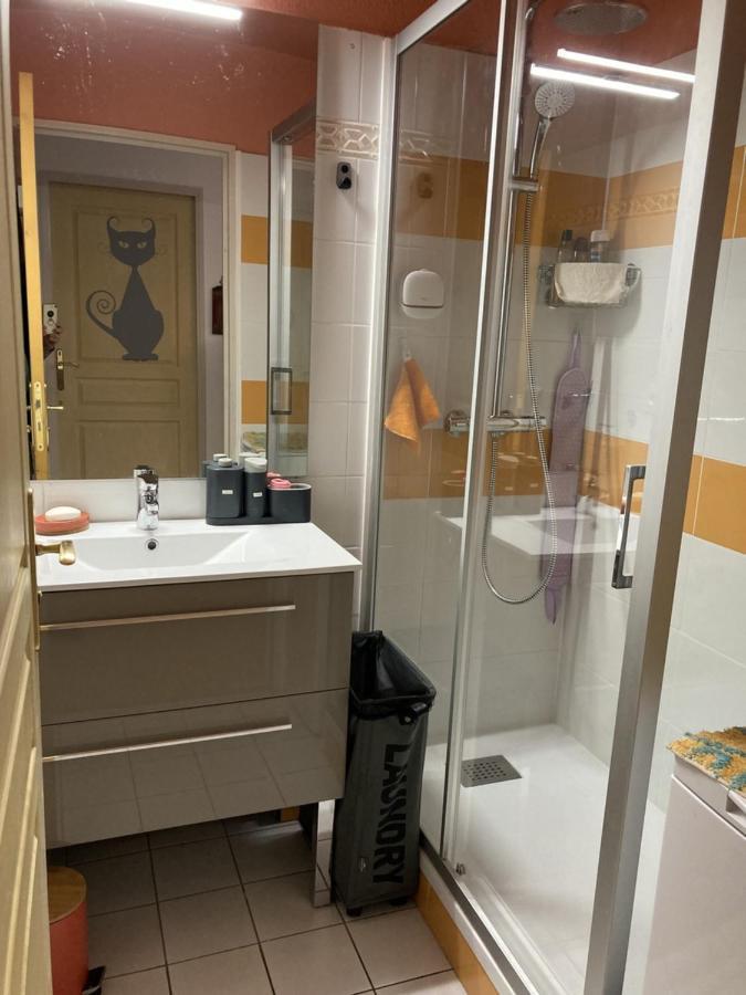 Appartement Tres Agreable Dans Belle Residence, Classe 3 Etoiles Par Le Comite Departementale Du Tourisme En Haute Garonne Bagnères-de-Luchon Εξωτερικό φωτογραφία