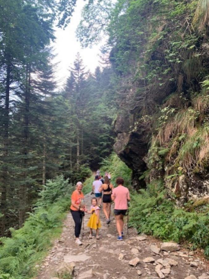 Appartement Tres Agreable Dans Belle Residence, Classe 3 Etoiles Par Le Comite Departementale Du Tourisme En Haute Garonne Bagnères-de-Luchon Εξωτερικό φωτογραφία