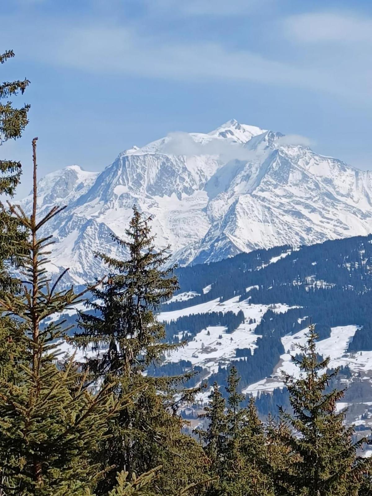 Appartement Tres Agreable Dans Belle Residence, Classe 3 Etoiles Par Le Comite Departementale Du Tourisme En Haute Garonne Bagnères-de-Luchon Εξωτερικό φωτογραφία
